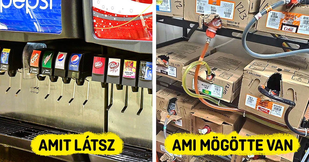19 mítosz és titok, amiket a népszerű gyorsétteremláncok alkalmazottai tártak fel