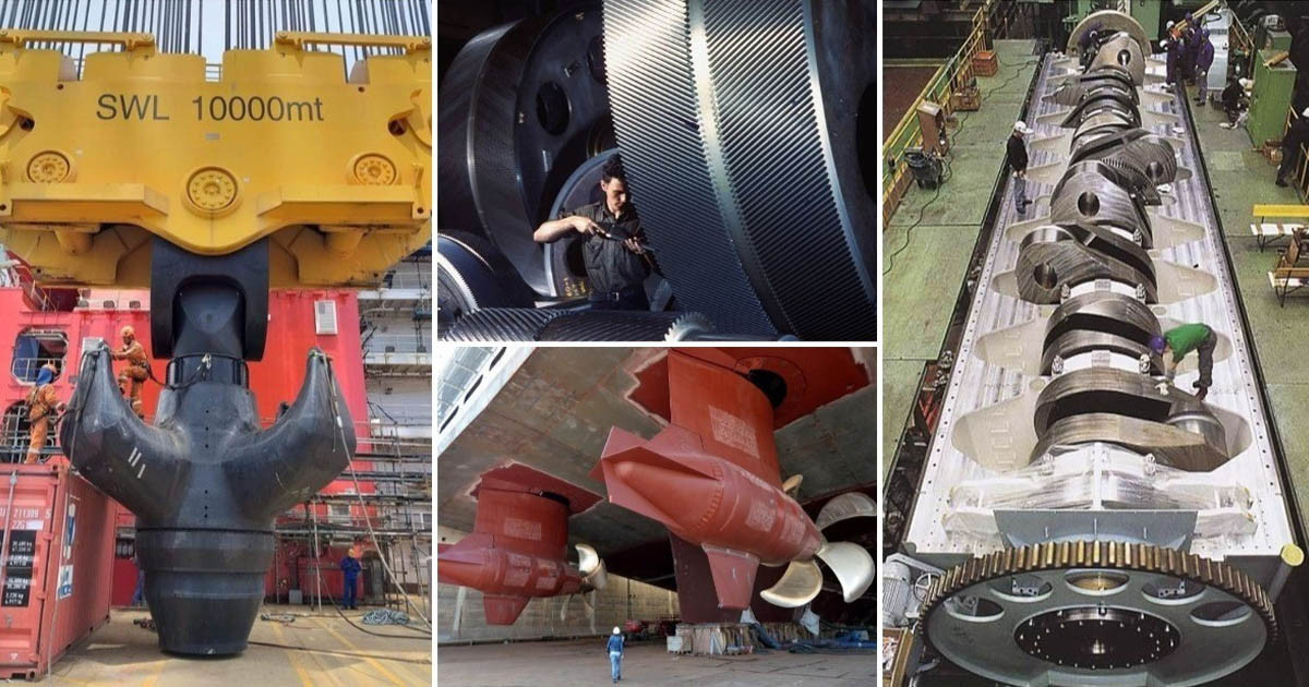 17 fotó, ami bizonyítja, hogy a tengerrel kapcsolatos dolgok mindig gigantikus méretűek