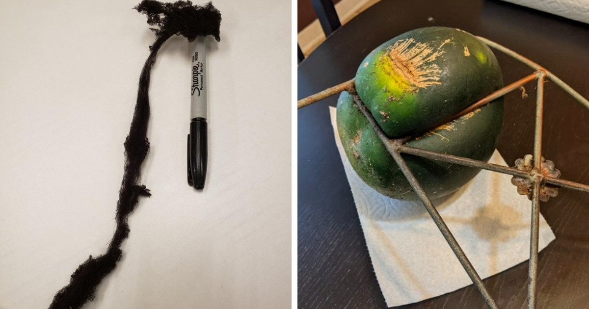 16 fotó, ami választ ad nekünk néhány igen érdekes "Mi történik, ha...” kérdésre