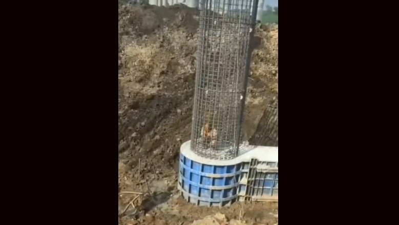 Amikor az építkezésen senki nem hiszi el, hogy mi történt