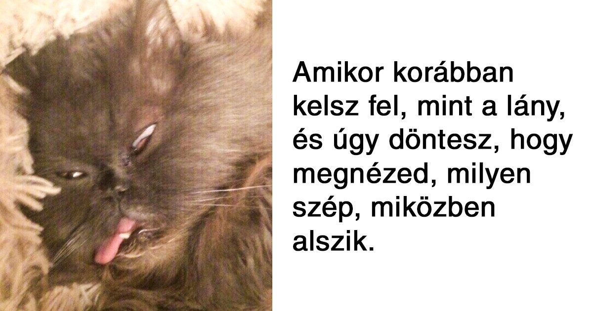 17 vicces hétköznapi élethelyzet, ami mindannyiunk számára ismerős