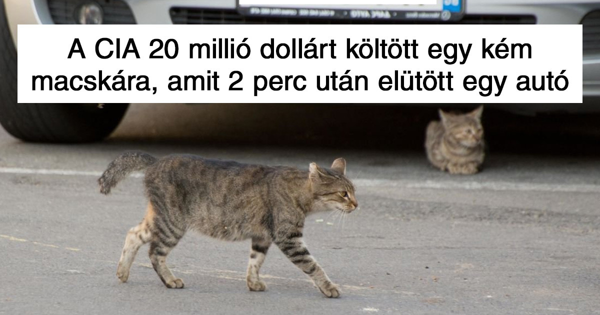 A 10 legnagyobb CIA kudarc, ami saját filmet érdemelne