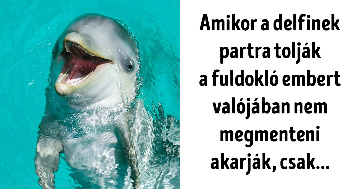 20 zavaró tény, amitől napokig álmatlanul fogsz forgolódni