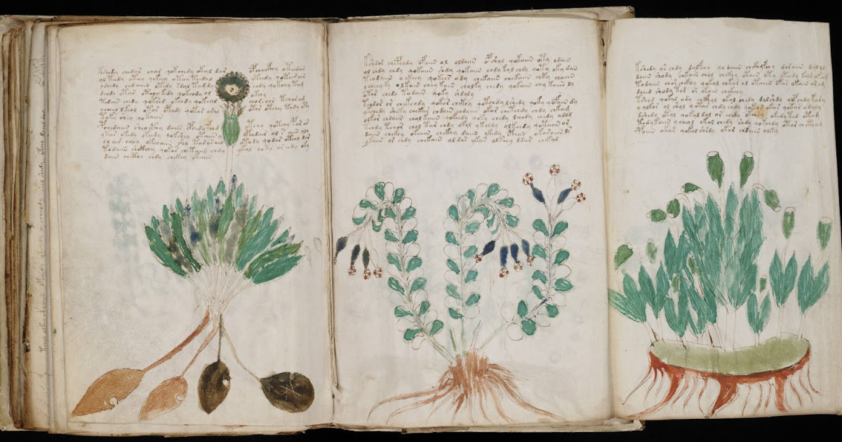 A történelem legrejtélyesebb könyve: a Voynich-kézirat