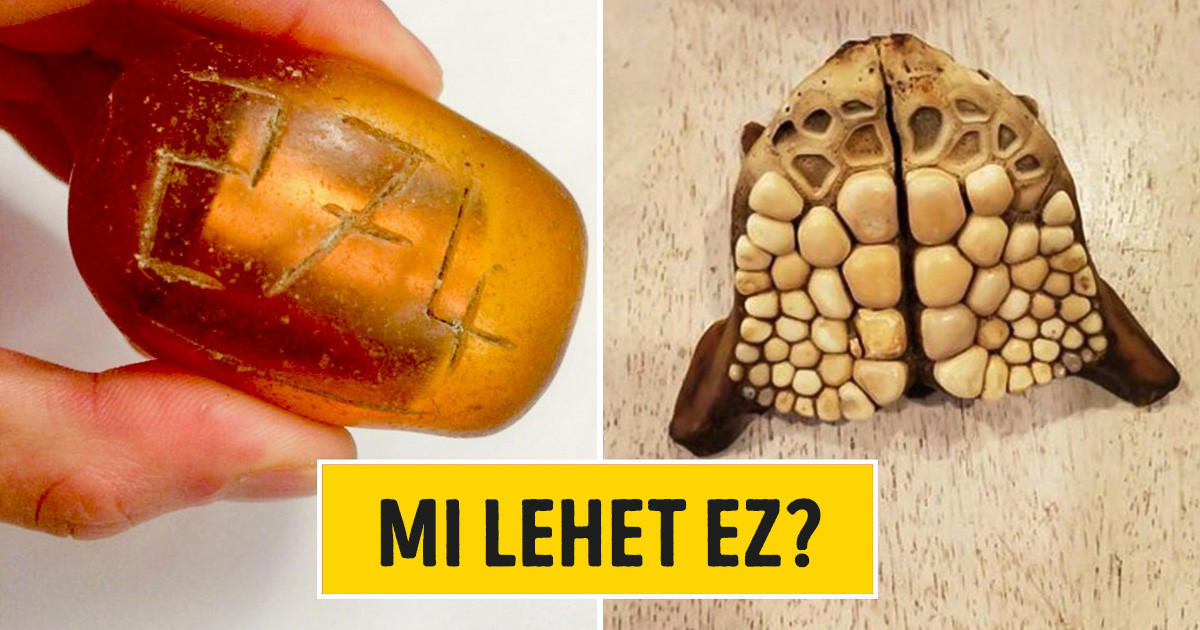 21 rejtélyes dolog, amire az internetezők segítettek magyarázatot találni