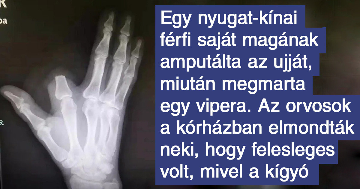17 fotó, ami remek illusztráció lehetne a "Murphy törvénye" című cikkben a Wikipédián