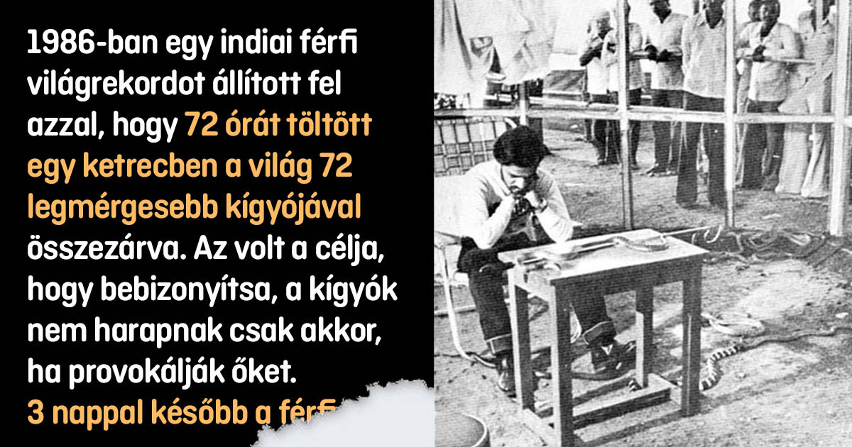 10 legfurcsább világrekord, amelynek a létezéséről valószínűleg nem is tudtál