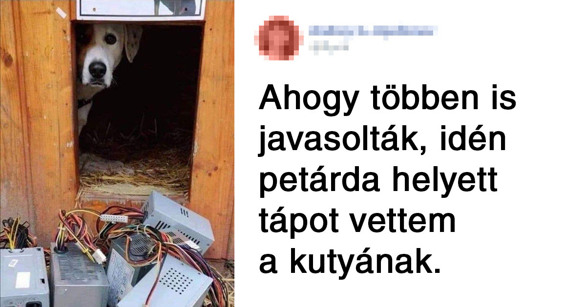 21 fotó, ami bizonyítja, hogy az emberi hülyeségnek nincsenek határai