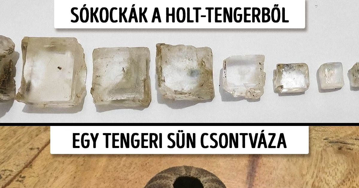 18 bizonyíték rá, hogy a hétköznapi dolgok is lehetnek olyan meglepőek, mint a hírek