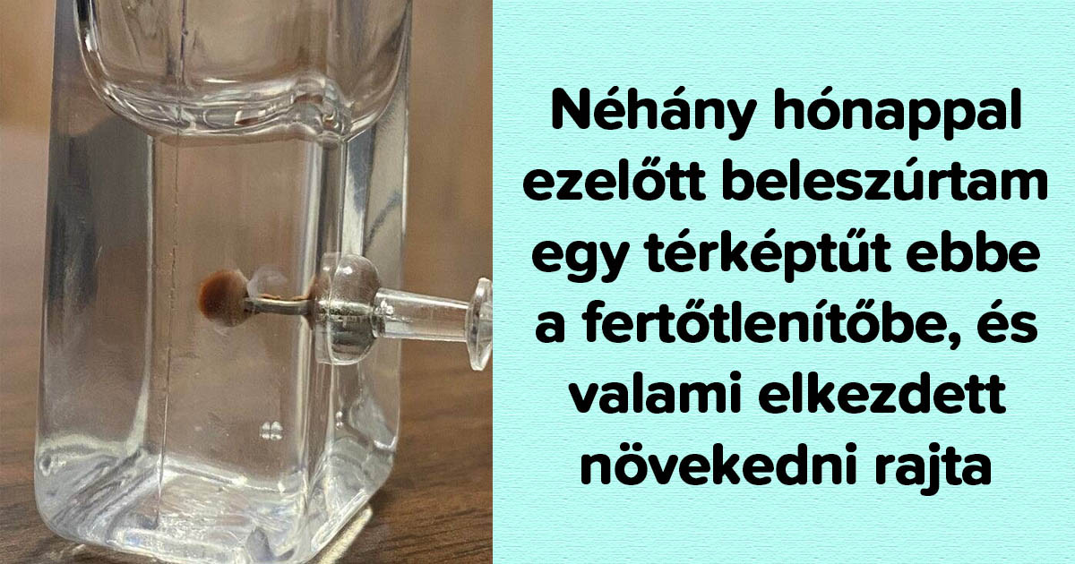 14 ember, aki szokatlan dolognak volt szemtanúja