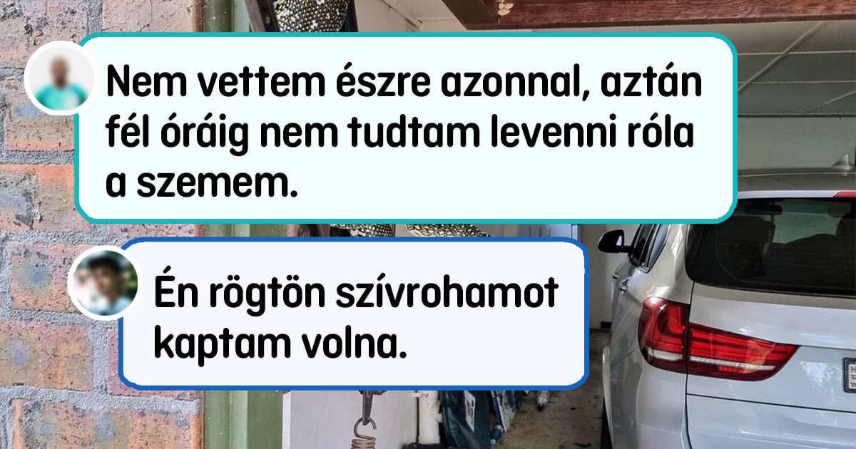 20+ fotó Ausztráliából, amik bizonyítják, hogy itt tényleg minden a feje tetejére állt