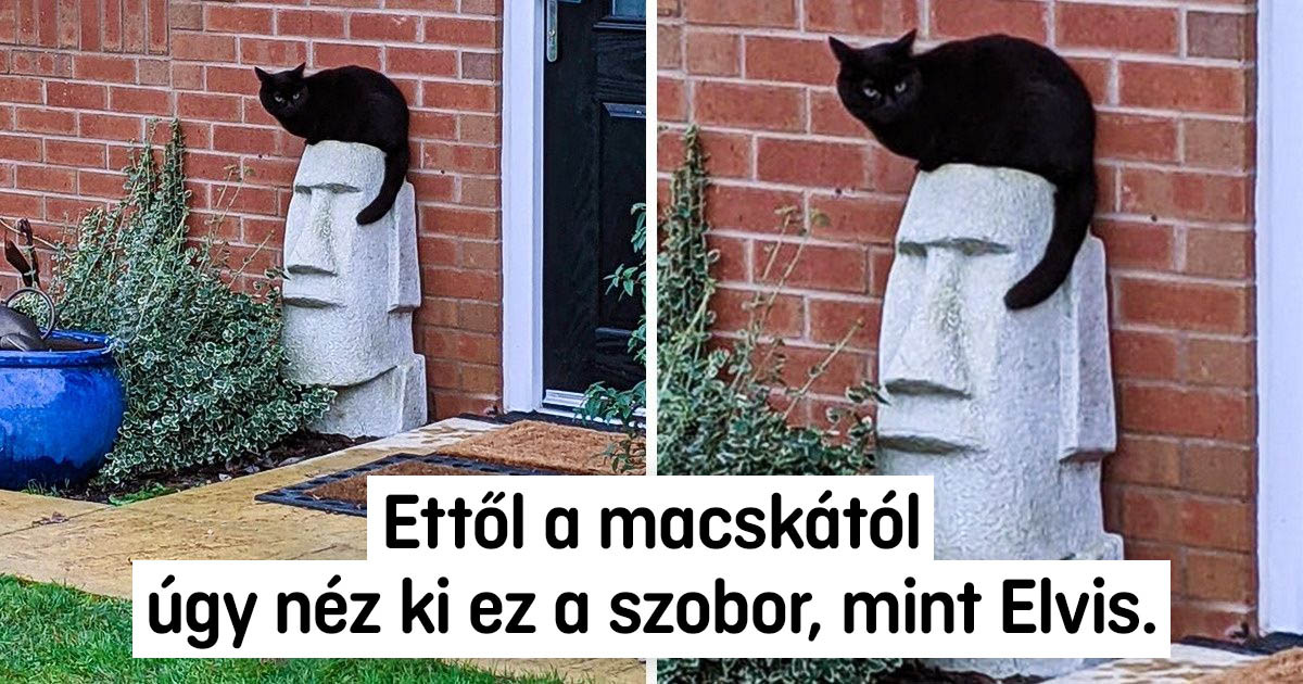 15 alkalom, amikor az emberek meglepő és valószínűtlen dolgokra bukkantak