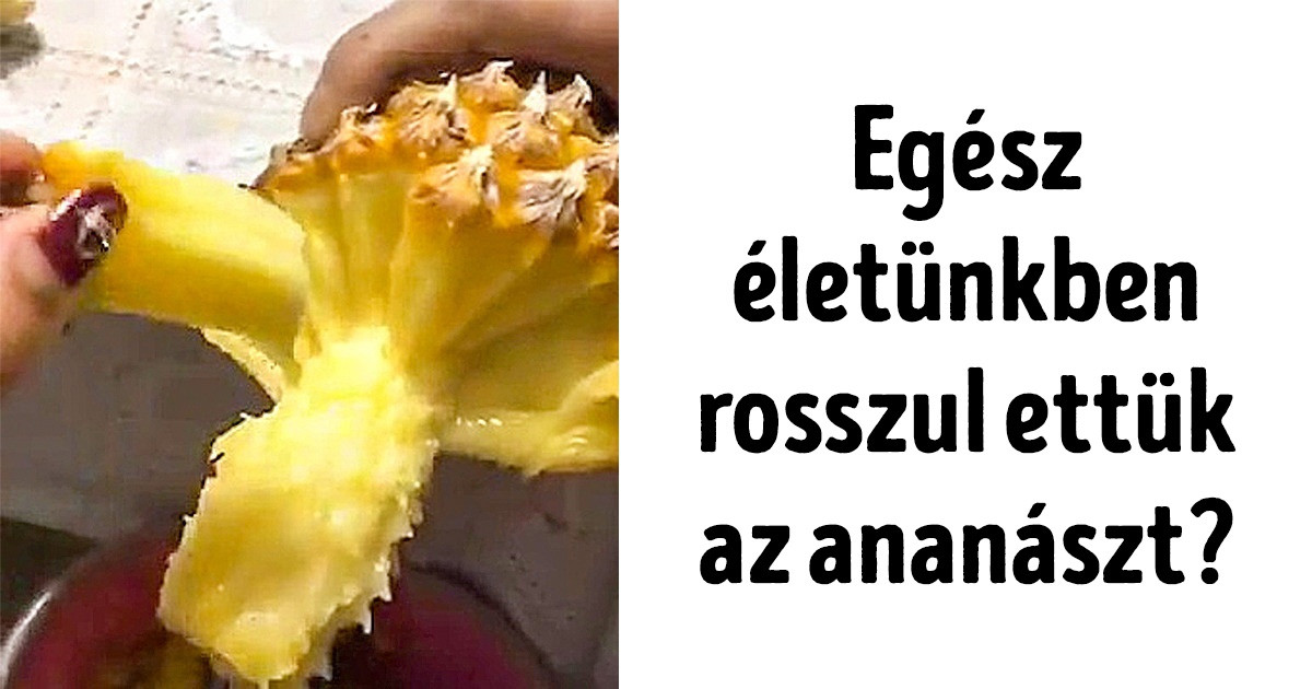 21 internetező, aki nem mindennapi felfedezésre lett figyelmes