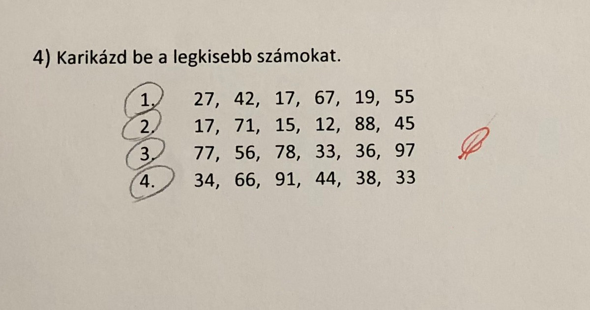 17 ember, aki a kiszámíthatatlanságával megnyerte magának az internetet