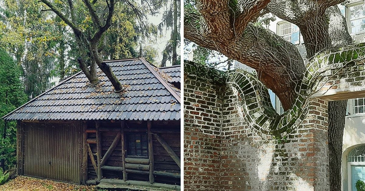 Ez a 17 tehetséges építész nem tekintette akadálynak a fákat, amiket általában kivágnak
