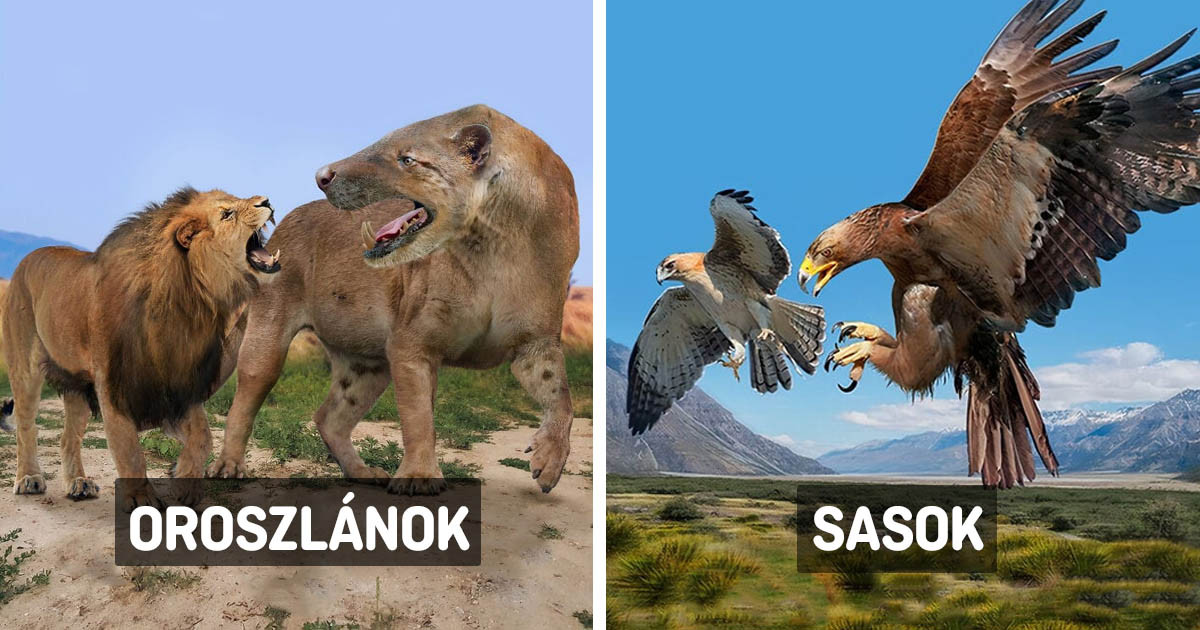14 vizuális méret-összehasonlítás az őskori állatok és a ma élő rokonaik között