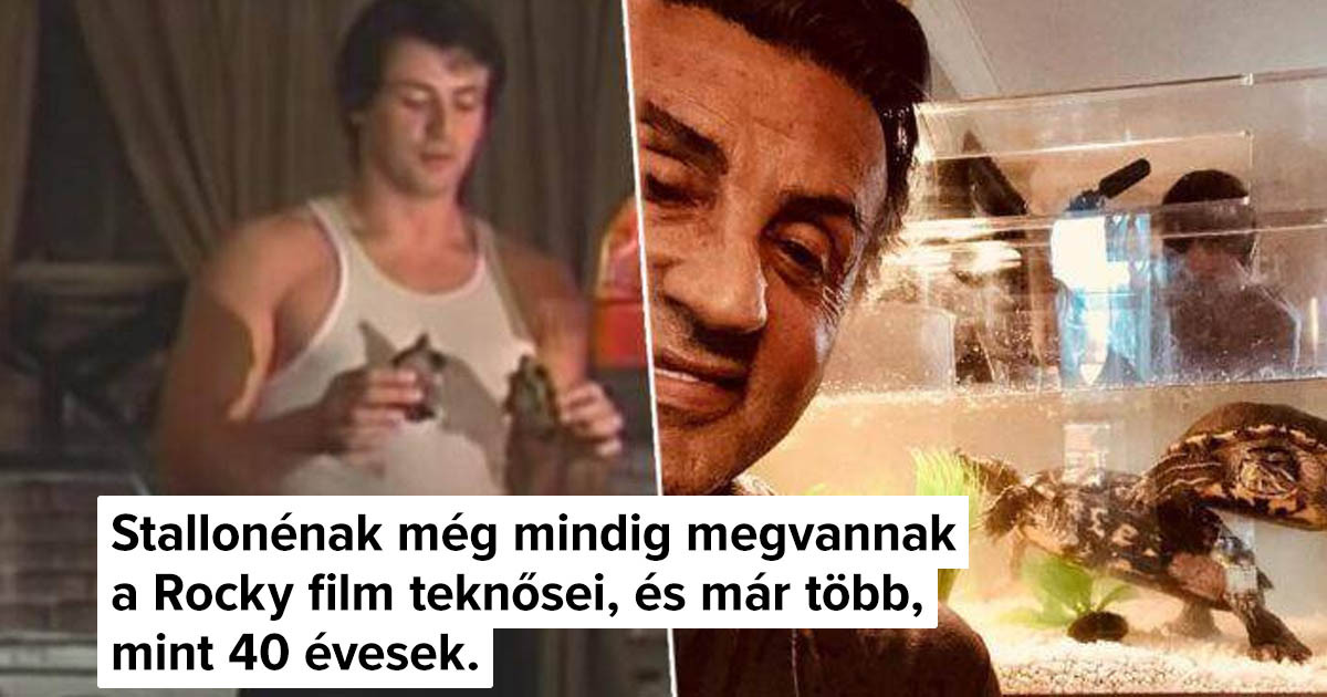 14 alkalom, amikor a színészek magukkal vitték a kedvenc kellékeiket a forgatásról