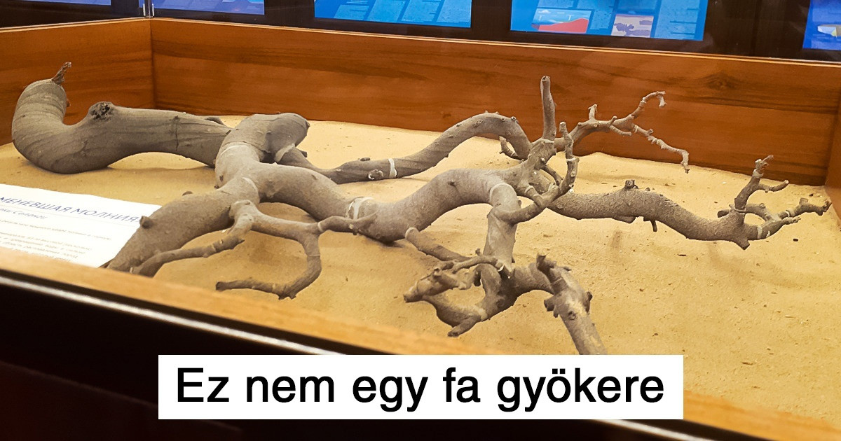 19 lenyűgöző fotó, amik bizonyítják: a természet sosem fogy ki a meglepetésekből