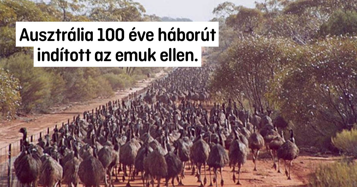 11 hihetetlen történelmi tény, amik kitalációnak tűnnek