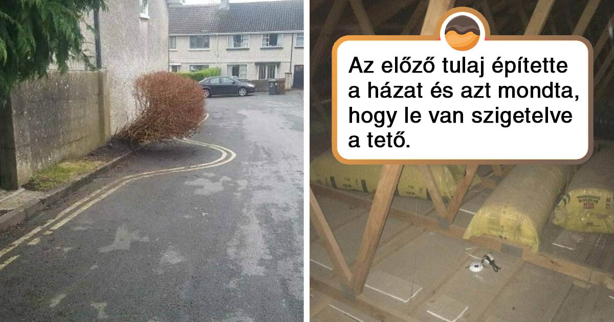 14 munka olyan emberektől, akiknek a lustaságának emlékművet kellene állítani
