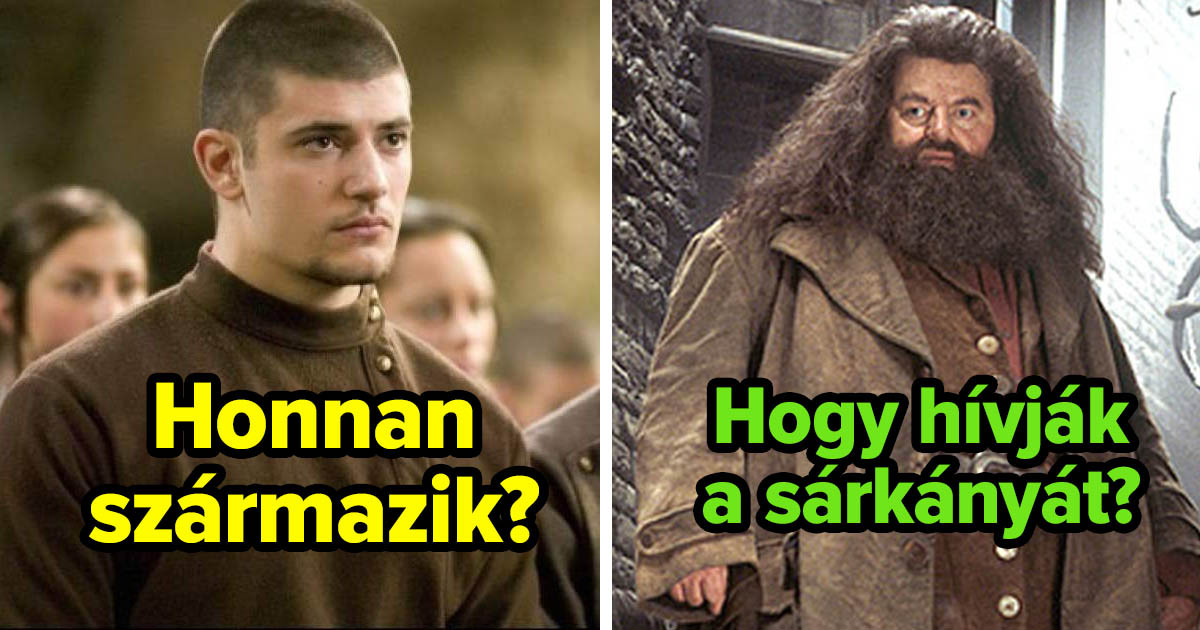 Bárki, aki 9 pontnál többet ér el ebben a Harry Potter kvízben, az kiérdemli a tiszteletem