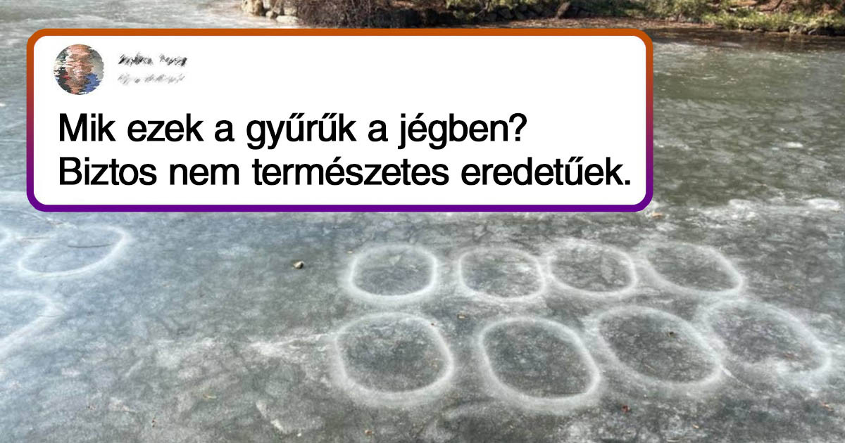 18 alkalom, amikor az emberek olyan dolgokat találtak, amit nem értettek, és ezért az internethez fordultak segítségért