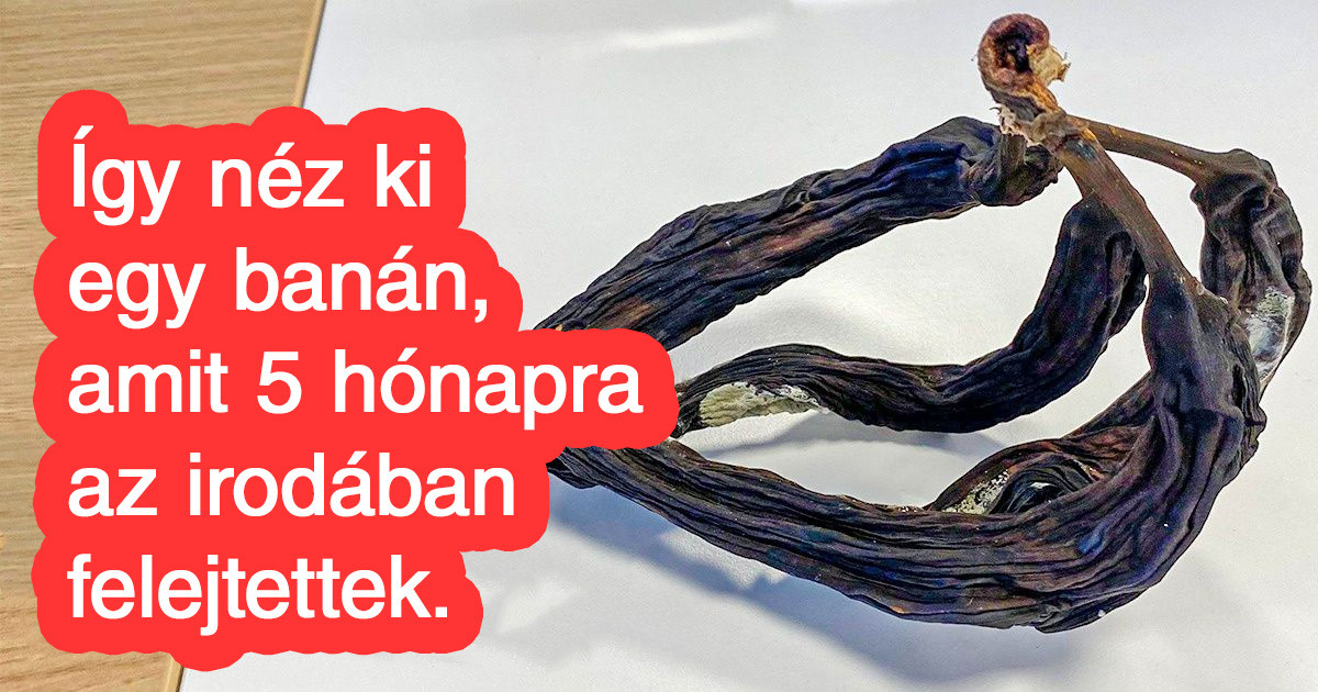 17 ember, akik izgalmas kísérlet szemtanúi voltak, és sok érdekes dolgot tanultak belőle
