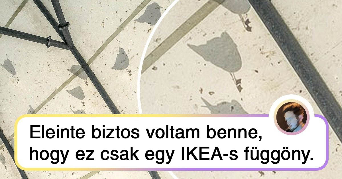 18 fotó, ami láttán csak azt kérdezed: "Mi a fene folyik itt?"