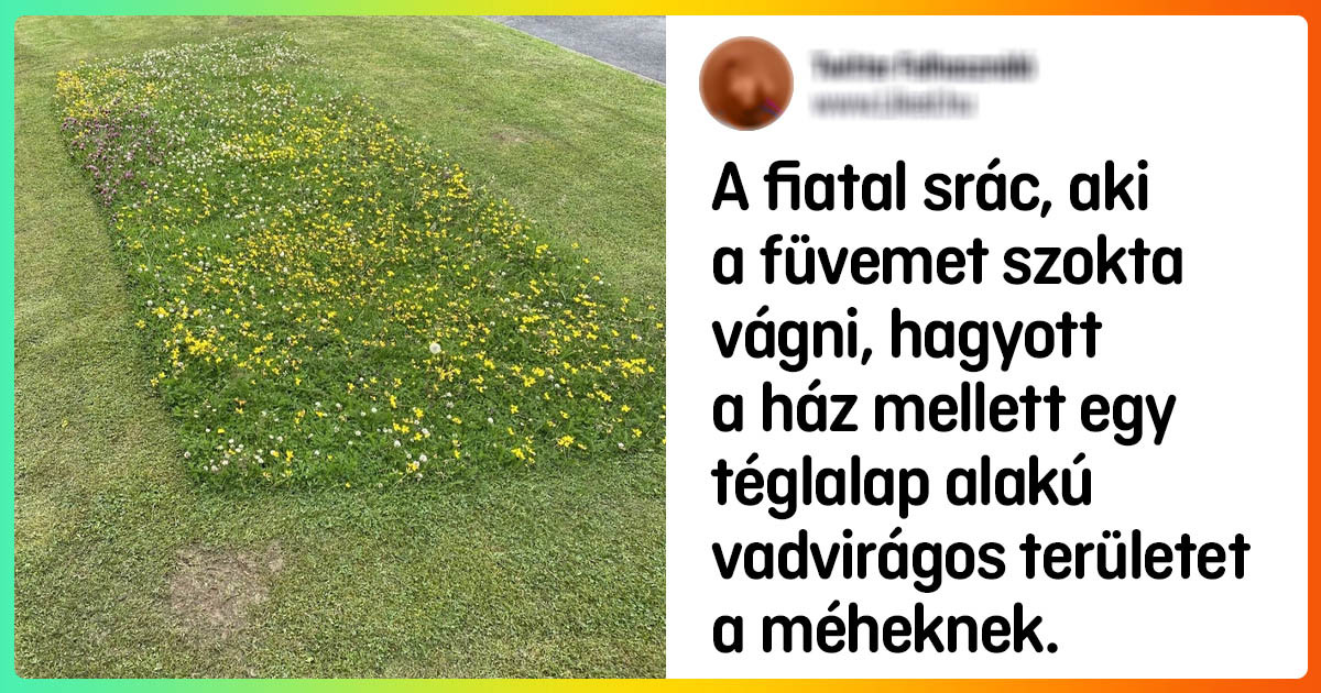 21 dolog, ami bizonyítja, hogy a kis tetteknek is nagy hatása van