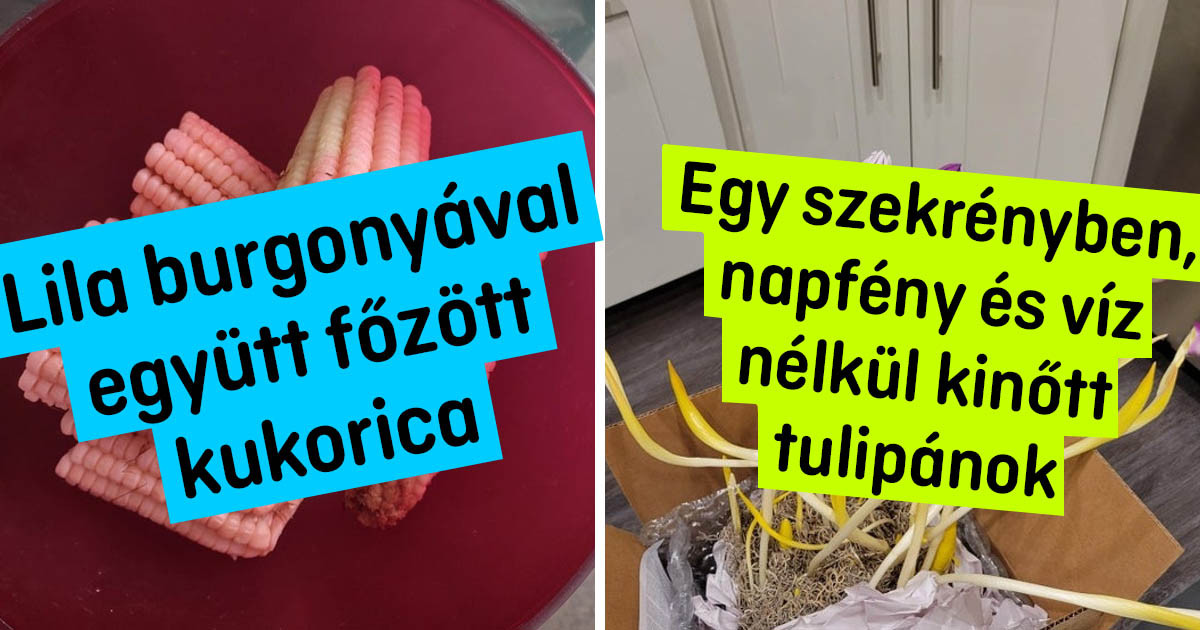 18 fotó, ami egy pillanat alatt választ ad a kérdésre: "Mi lesz, ha…?"