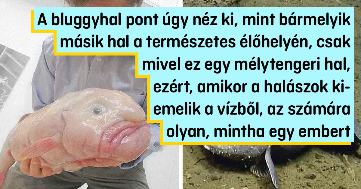 21 tény, amitől libabőrös leszel