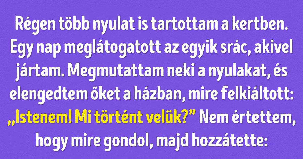 27 kínos helyzet, amikor az emberek rájöttek, hogy a beszélgetőpartnereik nem túl okosak