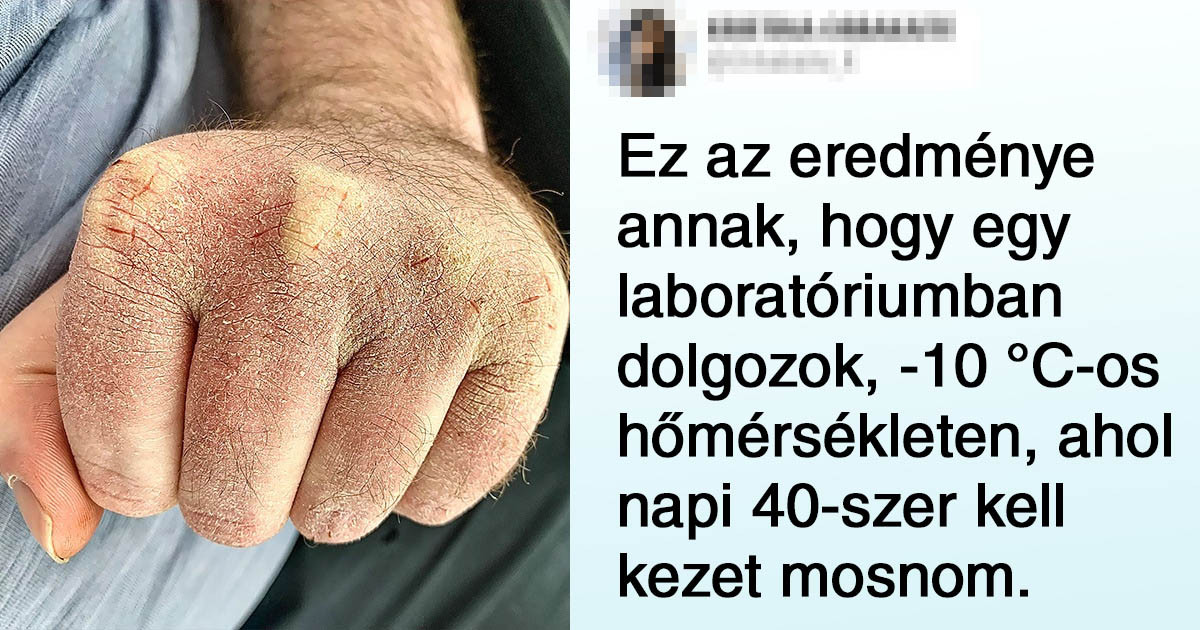 20+ munka közben készült fotó, ami beszédesebb, mint bármely pályaválasztási tanácsadás
