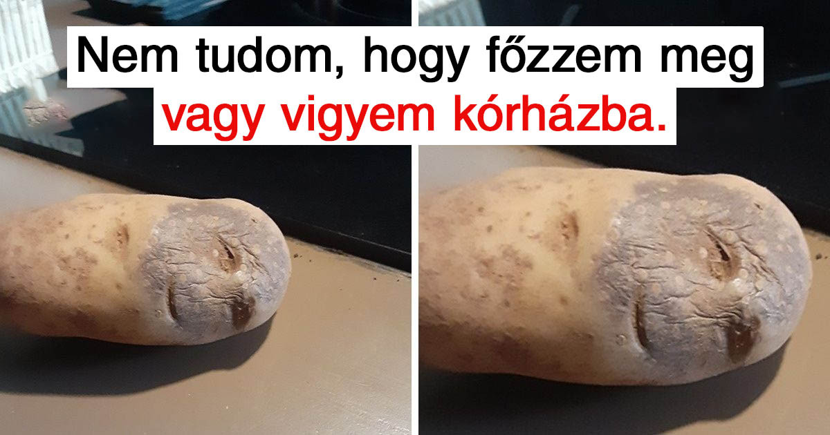 16 alattomos trükk, amivel ezek a dolgok elhitették magukról, hogy valami teljesen mások