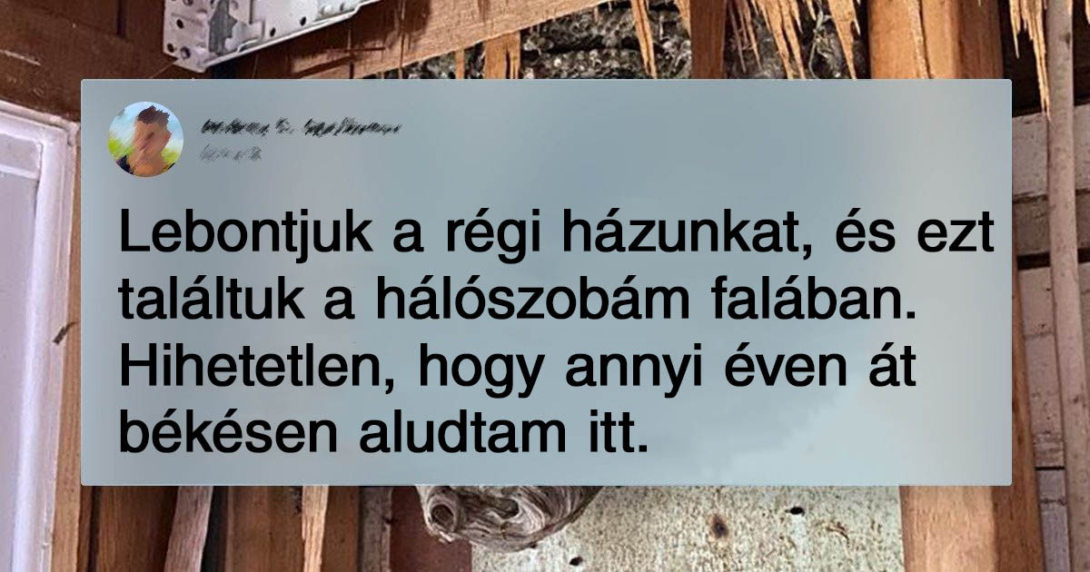 A tulajdonosok sok mindenre számítottak, de arra nem, hogy ilyen meglepetésre bukkannak a saját otthonukban