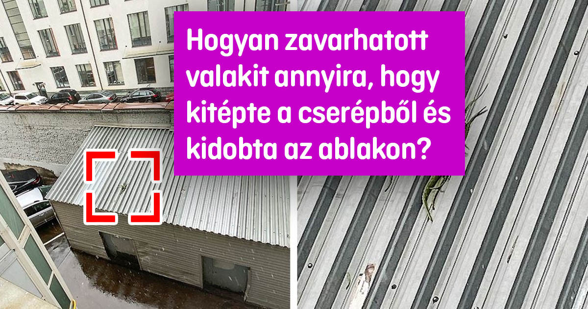 17 fotó, amin annyi a dráma, hogy még a Szulejmán-rajongók is könnyeket hullatnak tőle