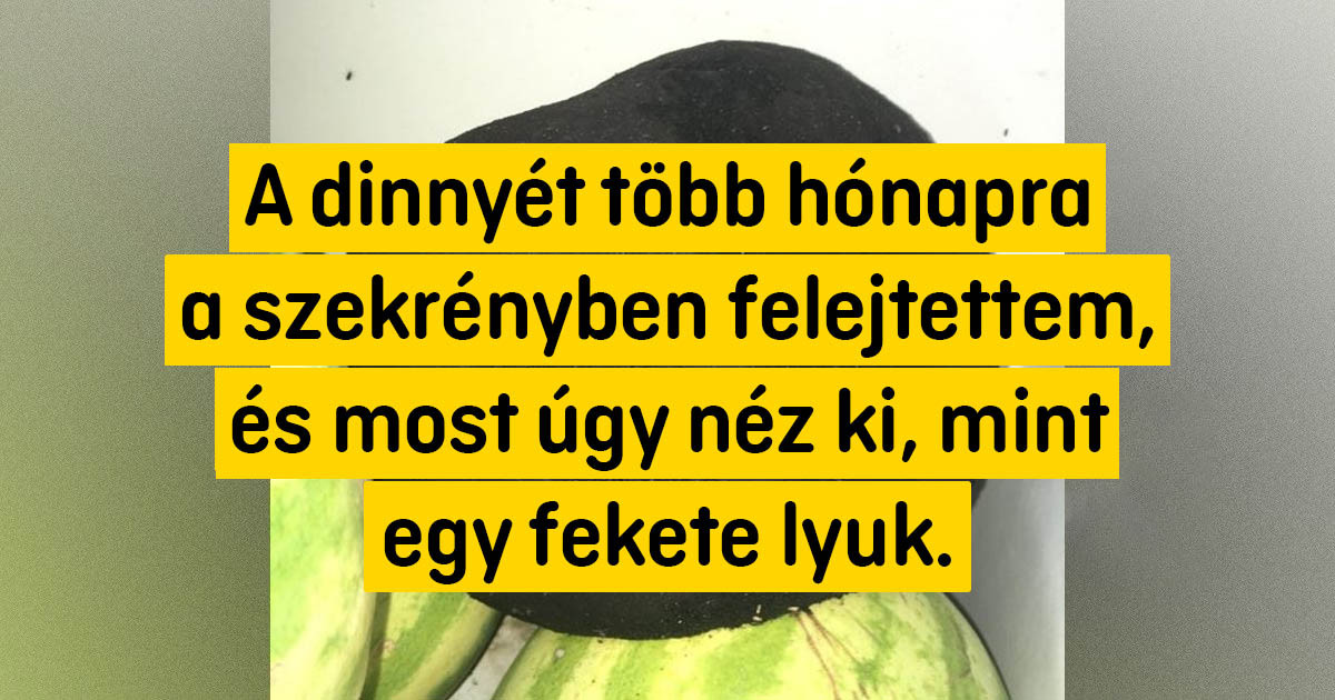 15 fotó, ami egyszerűen és egyértelműen válaszolja meg a kérdést, hogy "Mi lesz, ha…?"
