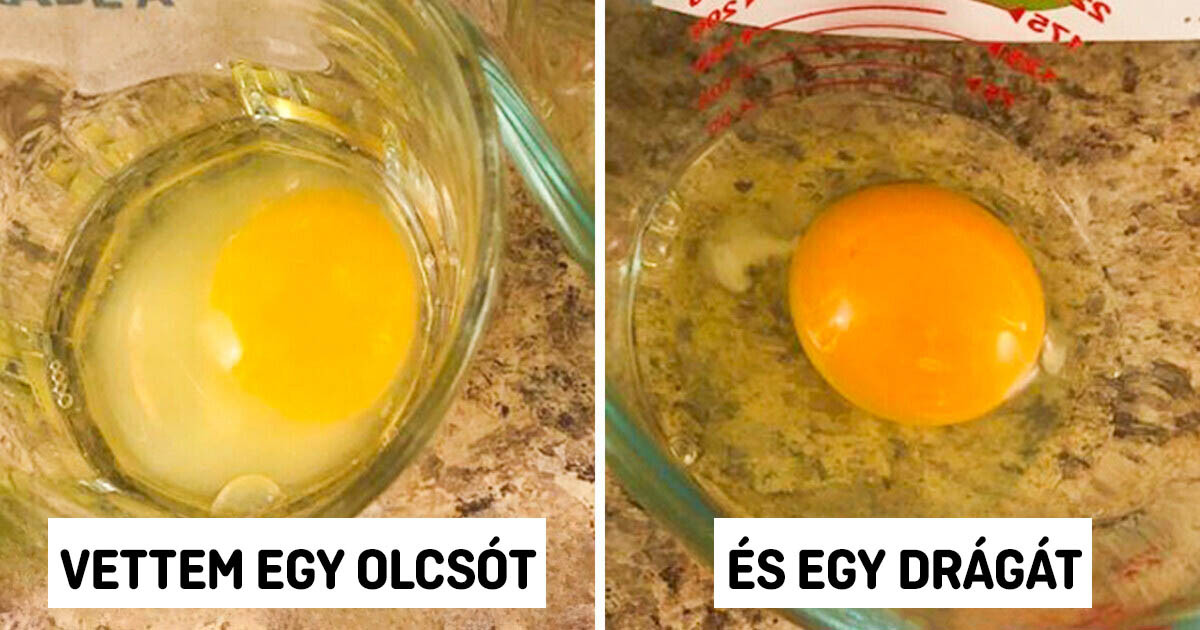 18 hétköznapi dolog, amik közt a különbséget csak összehasonlítások révén ismerhetjük meg
