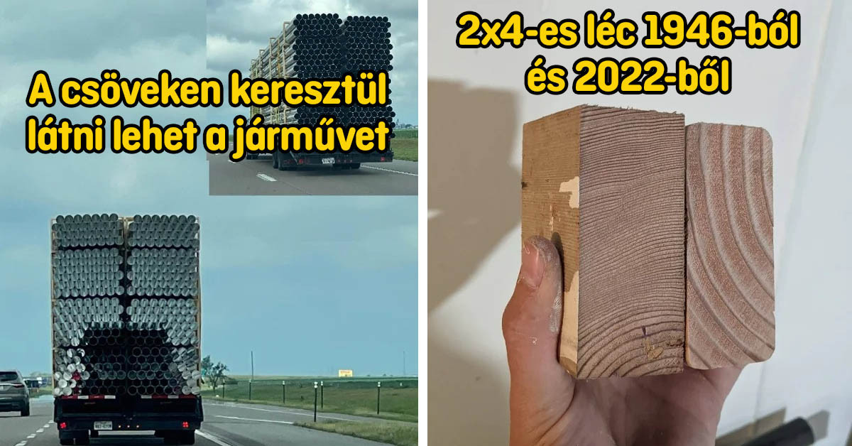 21 érdekes fotó, ami segít elütni az időt