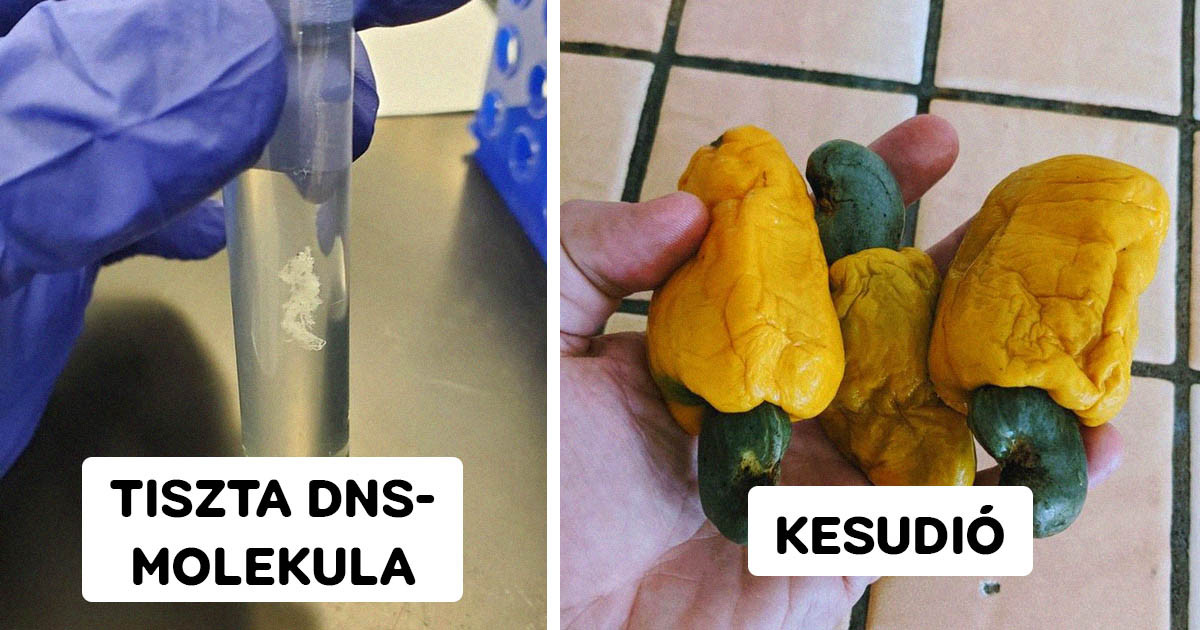 19 érdekes fotó, ami feltárja a dolgok láthatatlan oldalát