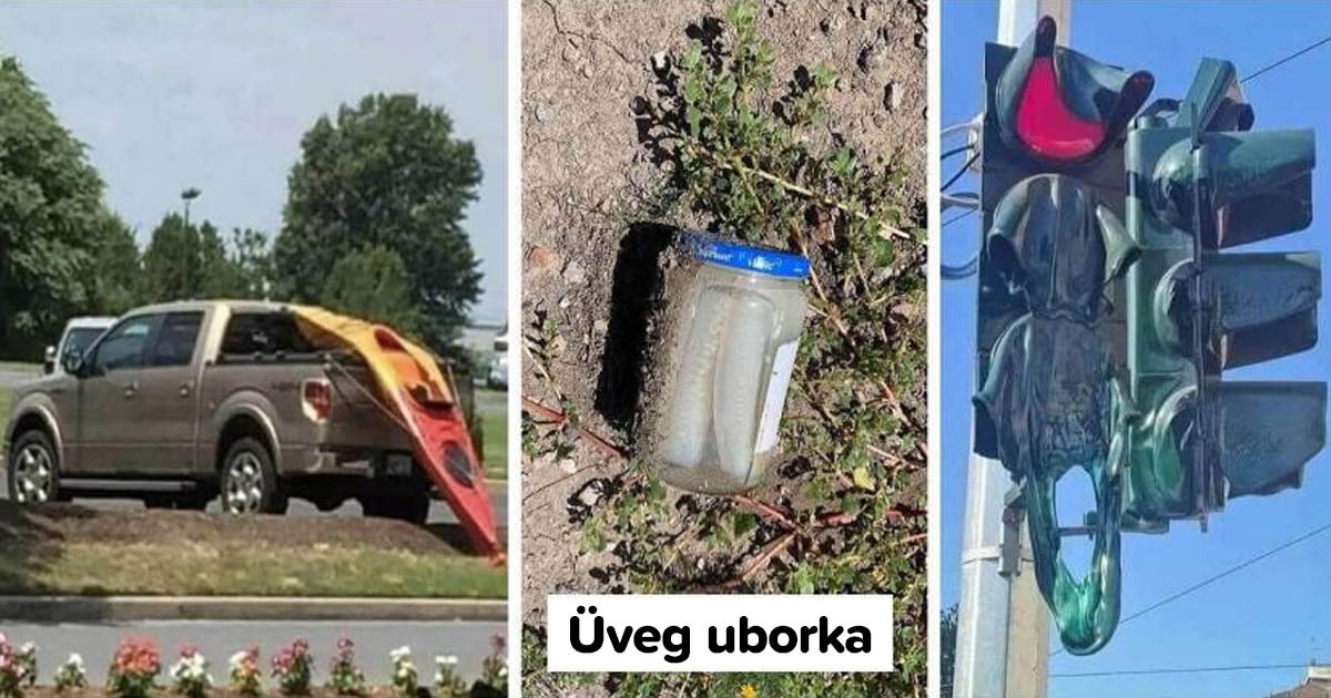 16 fotó, ami megmutatja, hogy milyen, amikor tényleg meleg van