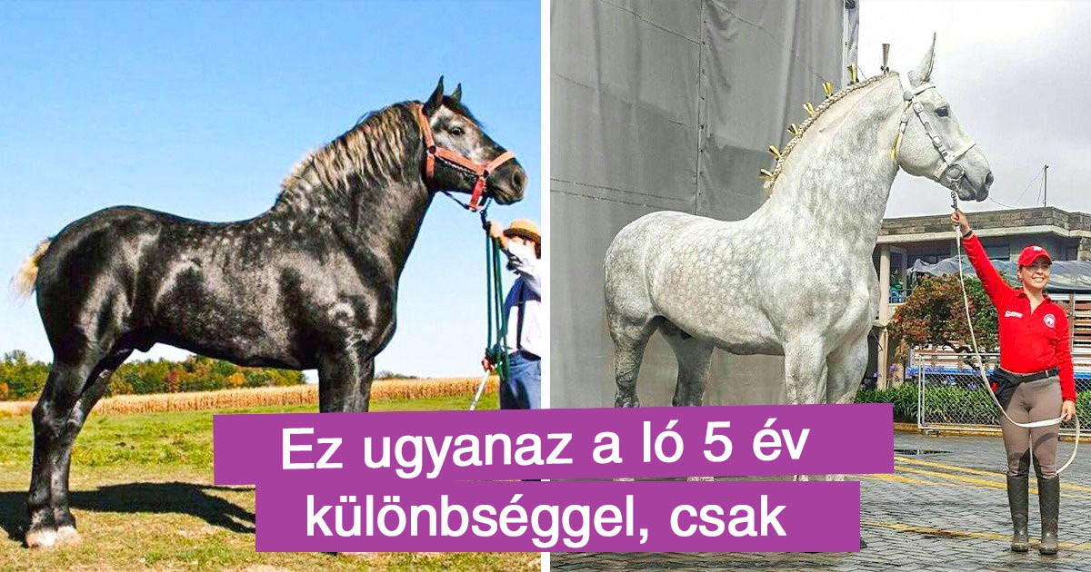 20 ritka dolog, amit a legtöbb ember életében maximum egyszer lát, és akkor is csak ha szerencséje van