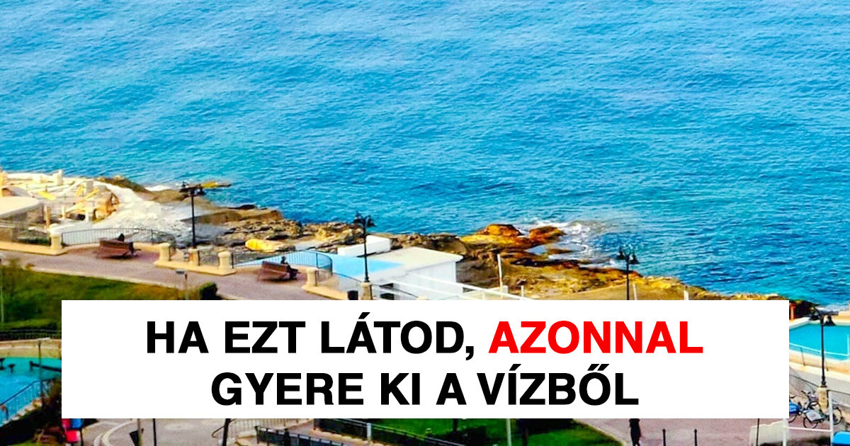 12 tény, ami egy nap akár az életedet is megmentheti
