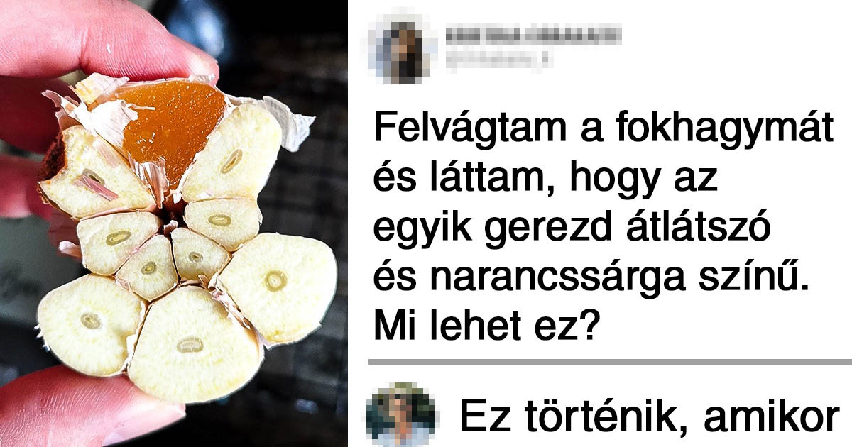 21 ember, aki egyértelmű választ adott egy régi kérdésre: "Mi lesz, ha…?"