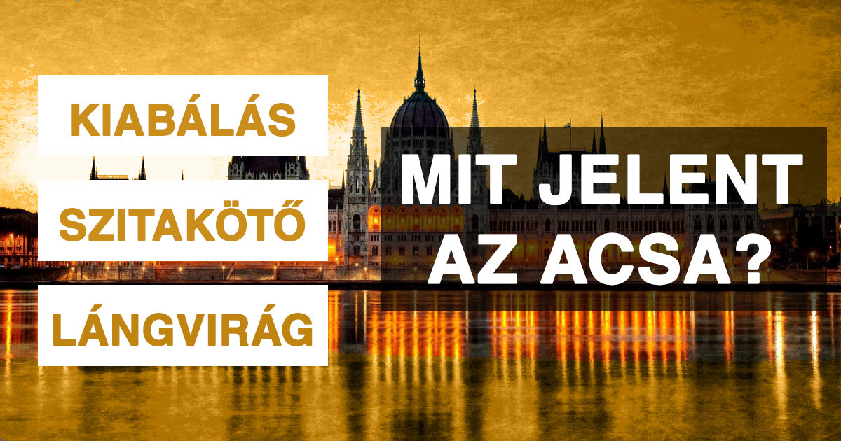 Kvíz: kitalálod, hogy mi a jelentése ennek a 21 rég elfeledett magyar szónak?