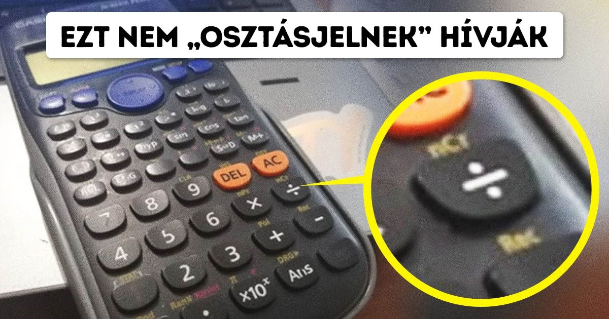 15 dolog, aminek valószínűleg nem tudod a valódi nevét (annak ellenére, hogy sokszor láttad)