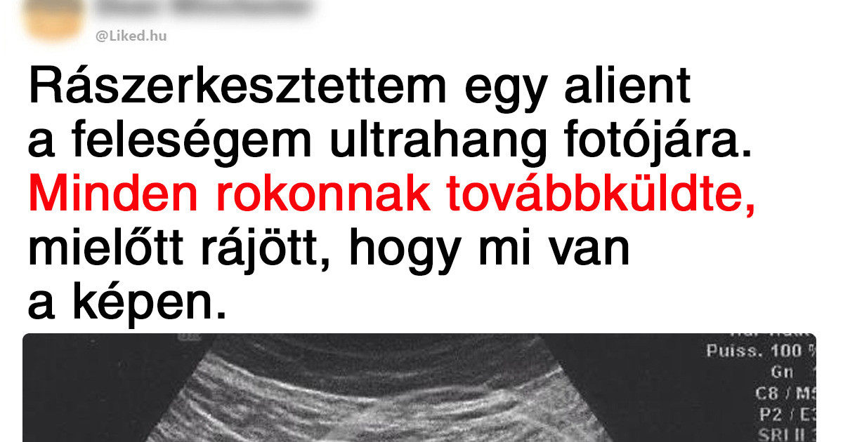 16 rokon, akinek a sajátos humorérzéke miatt egy perc nyugta sincs a családnak