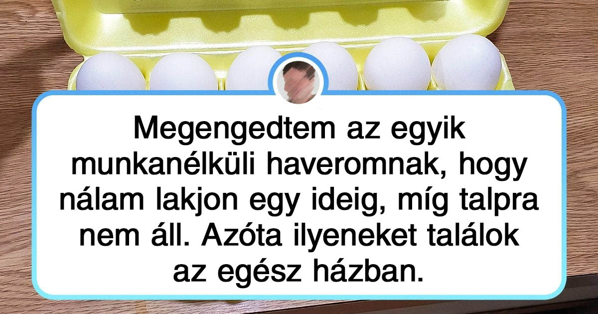 18 alkalom, amikor a vendégek túlságosan szó szerint értették az "érezd otthon magad" kijelentést