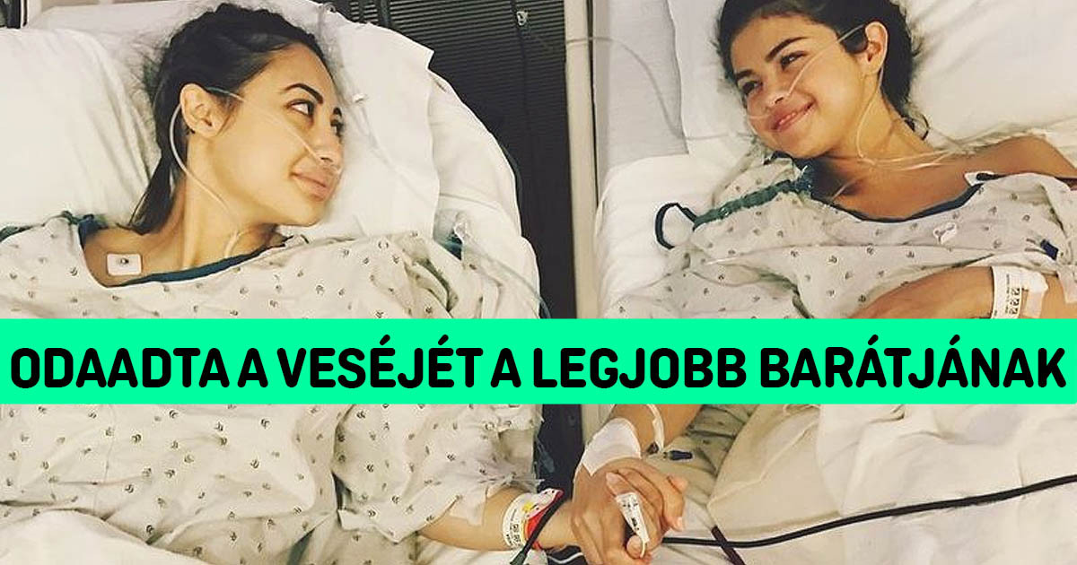 14 fotó, ami bizonyítja, hogy az igazi barátság a világ minden aranyánál többet ér