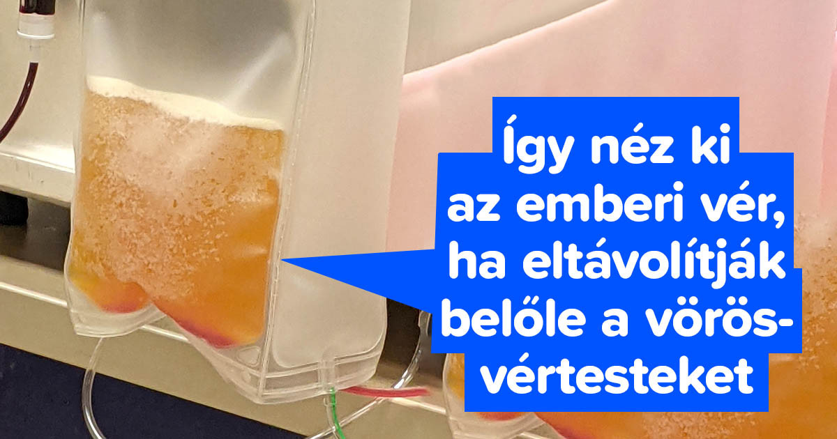 20 fotó, aminek köszönhetően felfedezheted a világunk kevésbé ismert oldalát